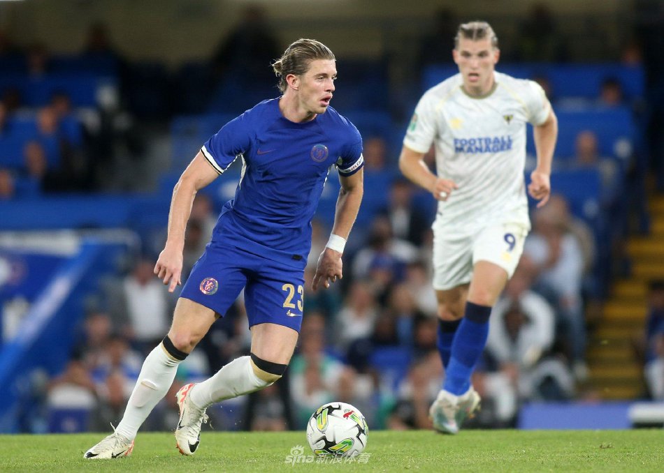 原因与影响 原因与影响